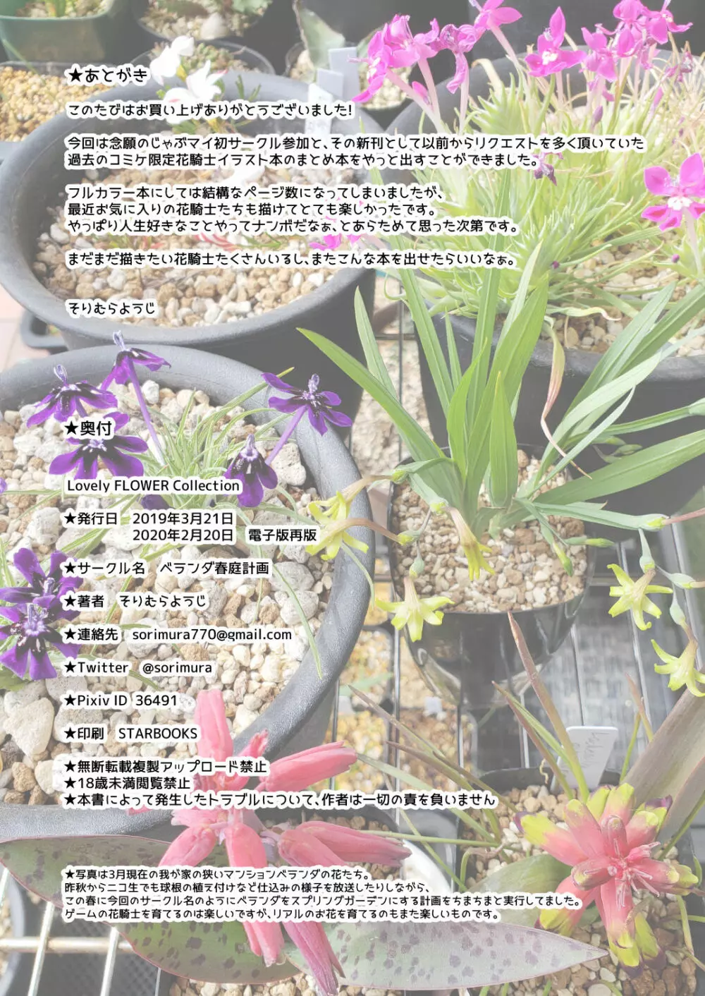 Lovely Flower Collection Page.33