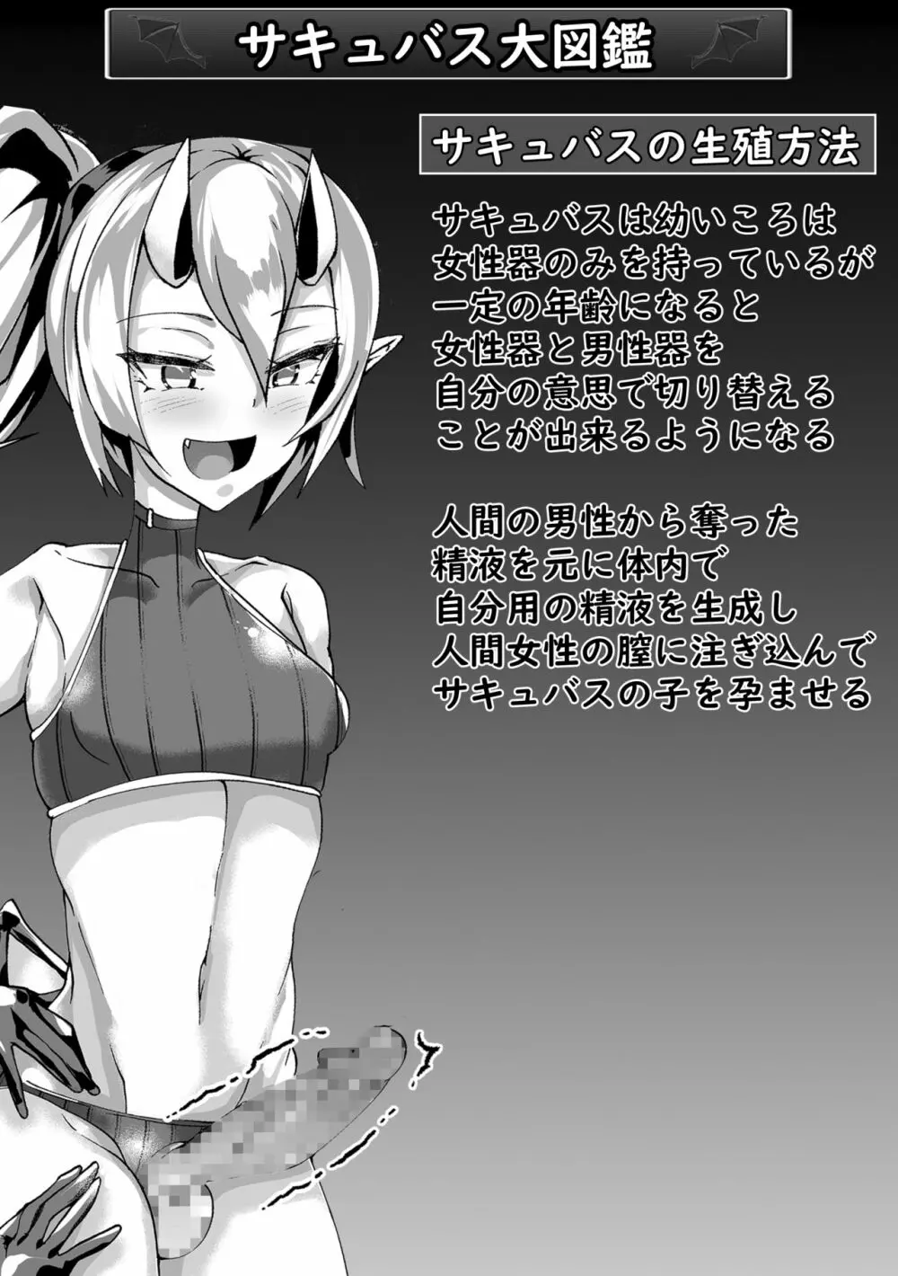 村人VS最強サキュバス軍団 Page.4