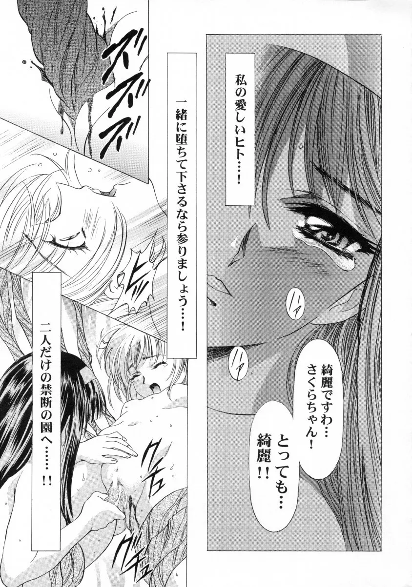桜飴ファイナル Page.12