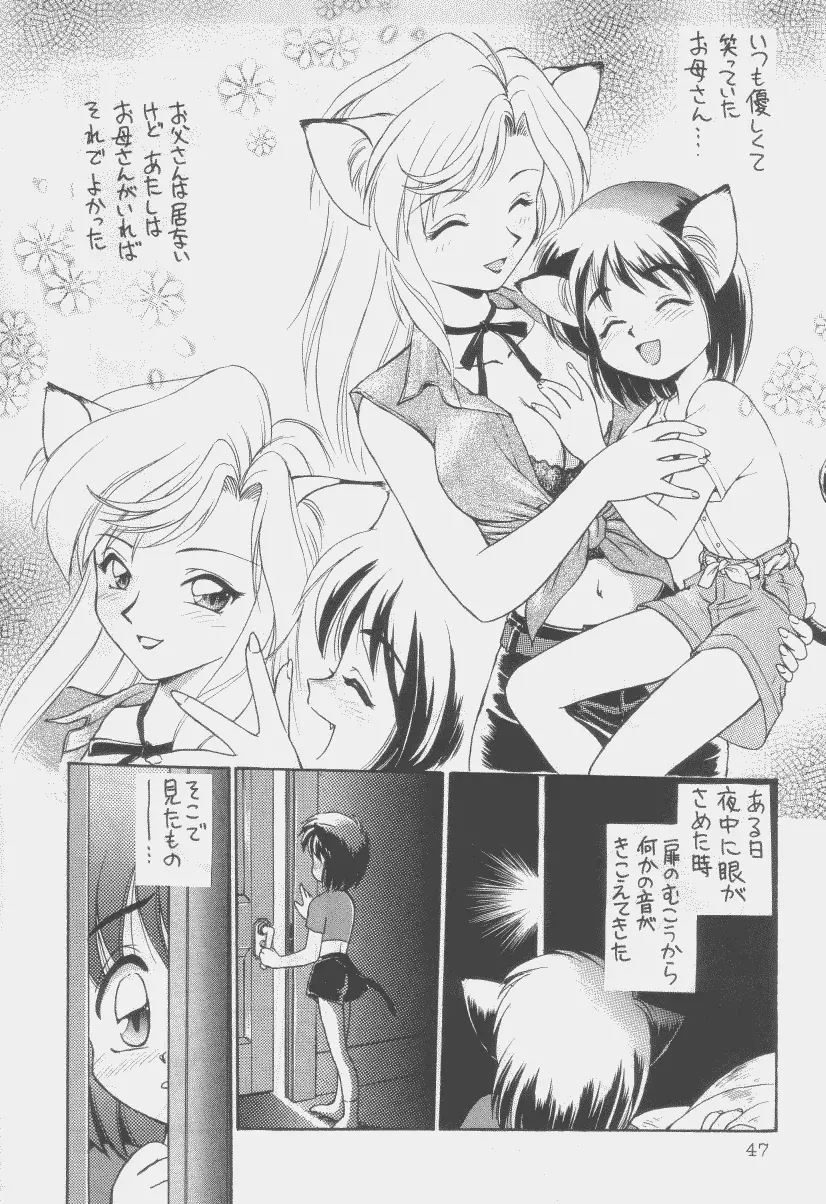 噂のねこ集会 Page.46