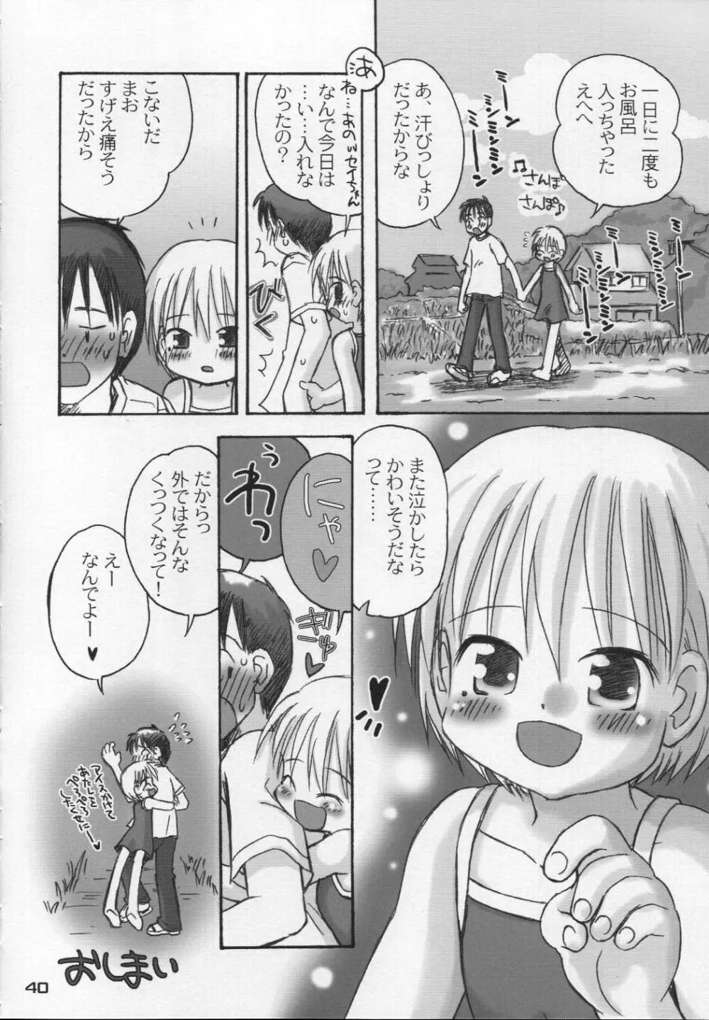 なつのかんさつにっき Page.39