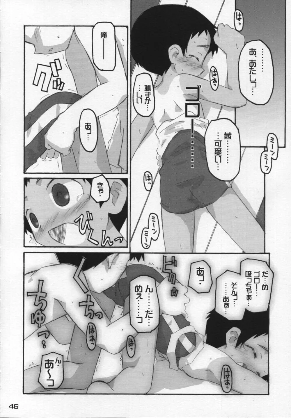 なつのかんさつにっき Page.45