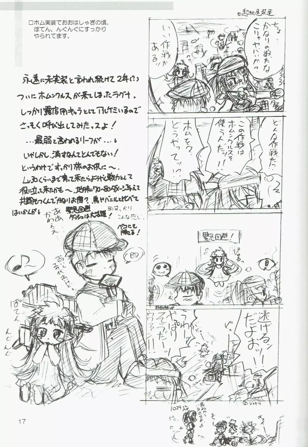 駆け込みフェスティバル Page.17