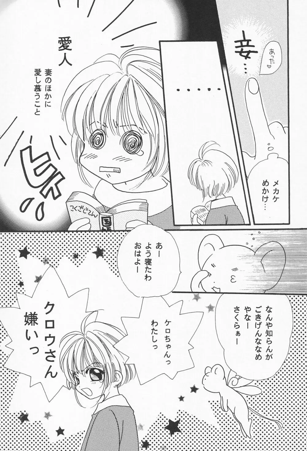 ROSDE CONARY BIRD カナリーバード Page.27