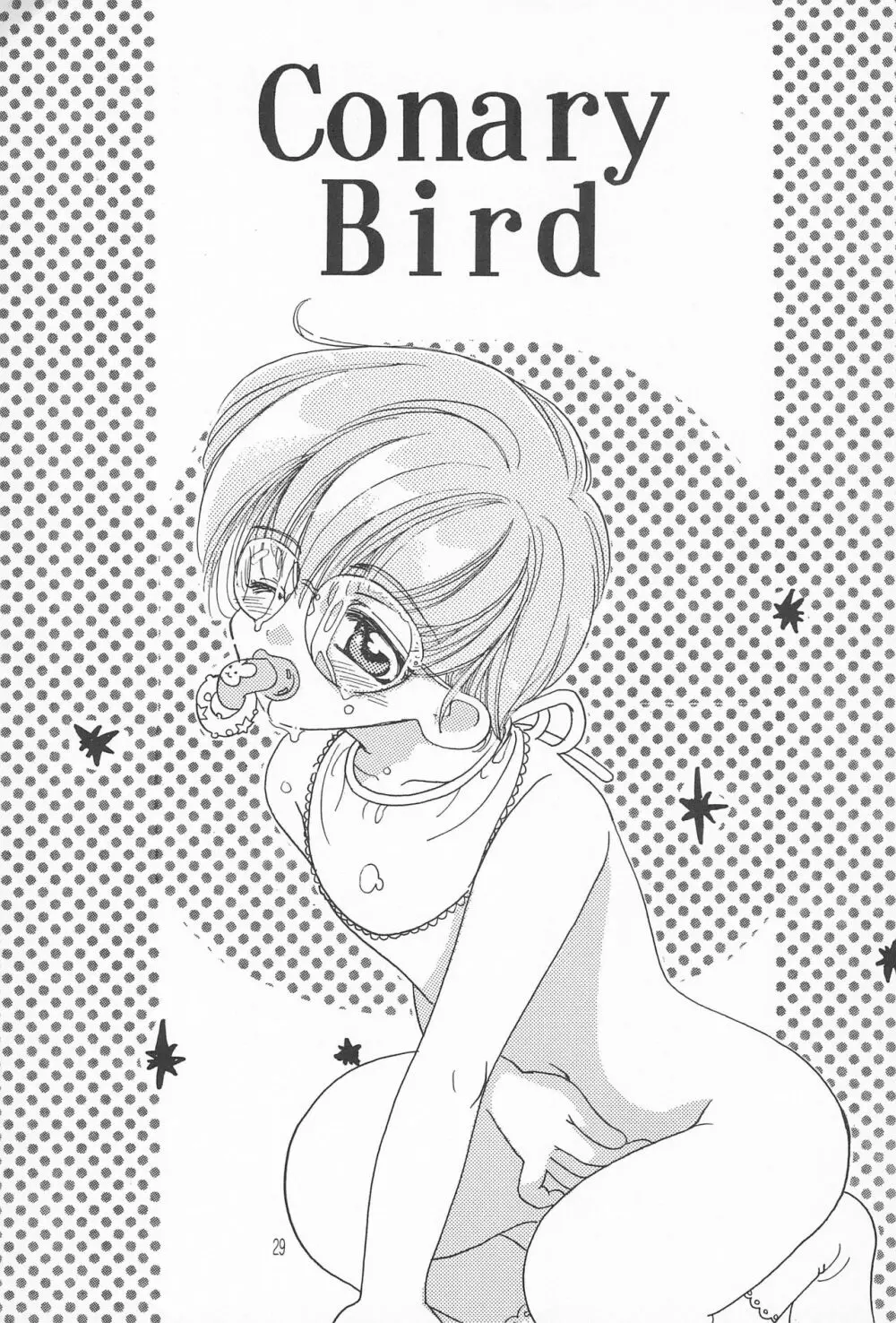 ROSDE CONARY BIRD カナリーバード Page.29