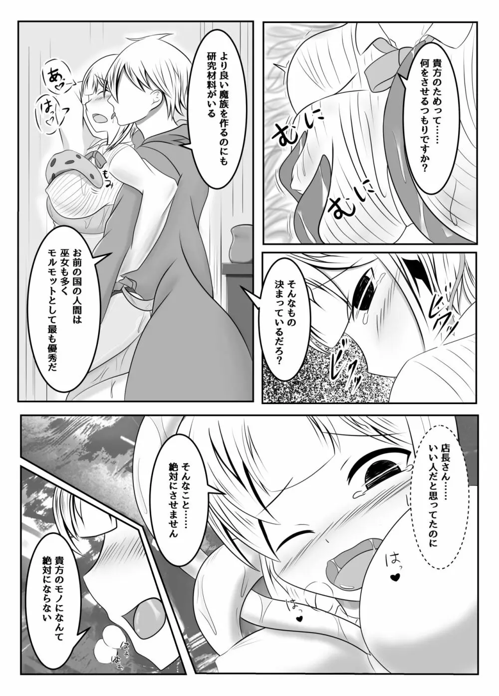 封印の巫女～そして王女は国を滅ぼす～ Page.11