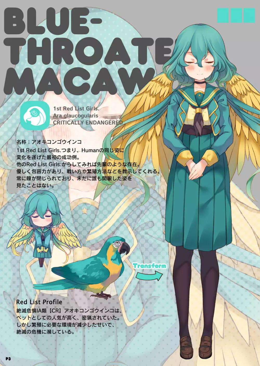 MACAW;EDUCATION Page.3