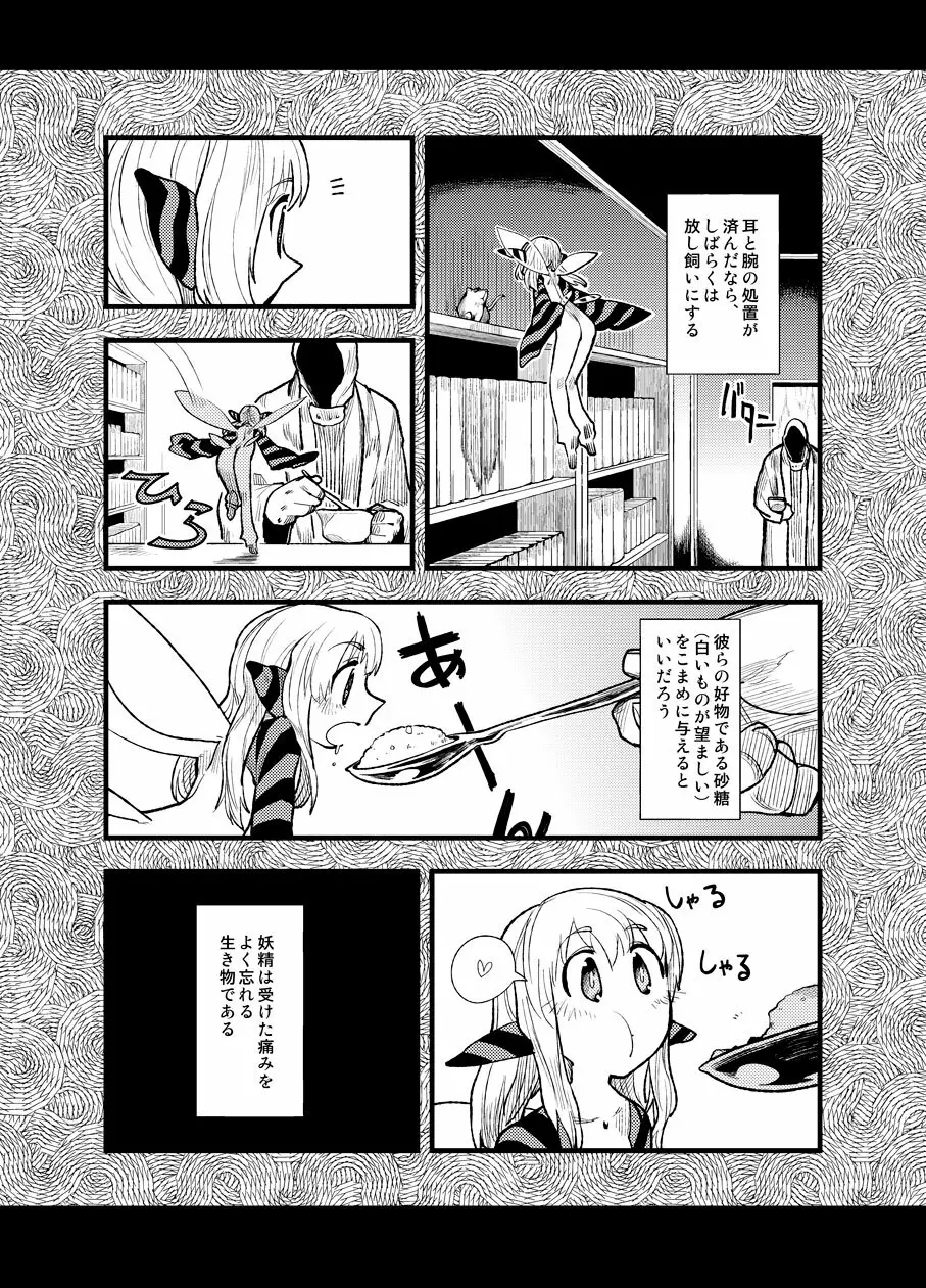 フェルナンデス ピクシー ショップ Page.12