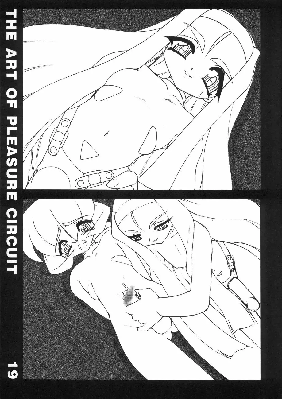 The Art of Pleasure Circuit Page.20