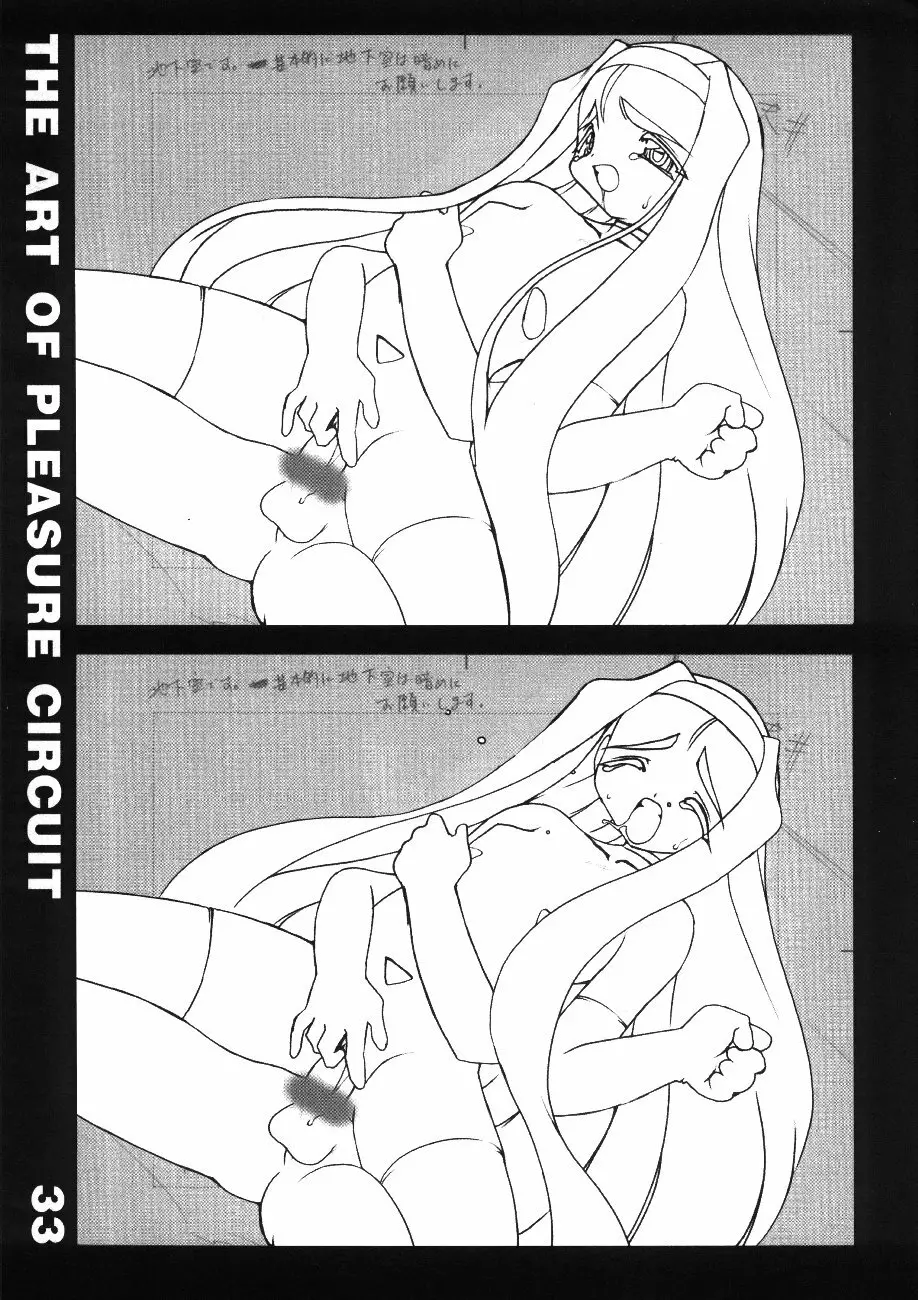 The Art of Pleasure Circuit Page.34