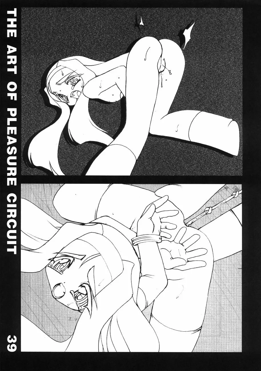 The Art of Pleasure Circuit Page.40