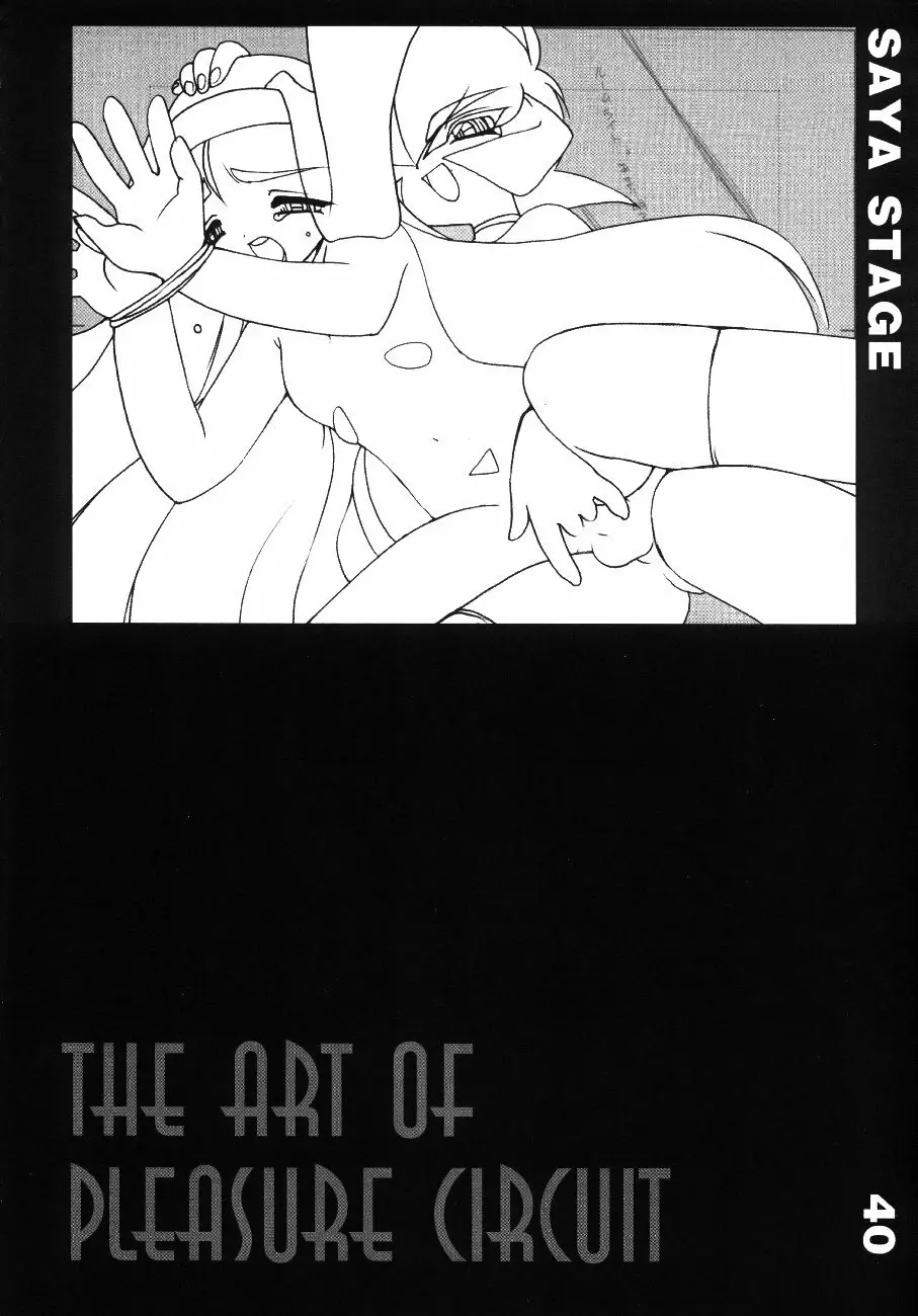 The Art of Pleasure Circuit Page.41
