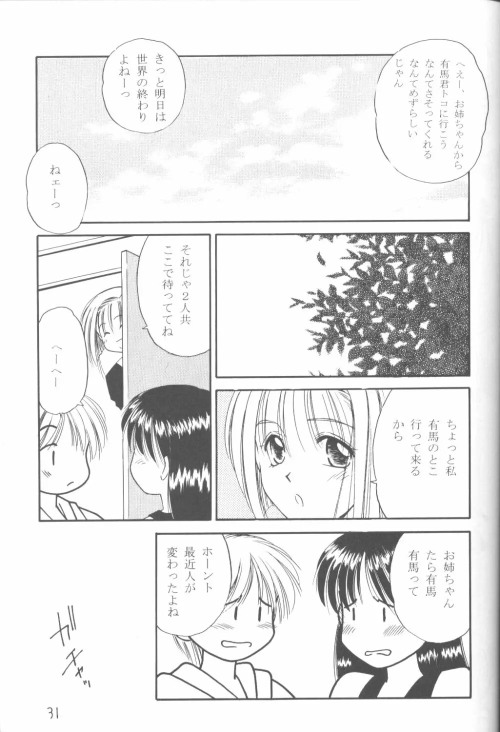 ファンシア育成日記 Page.29