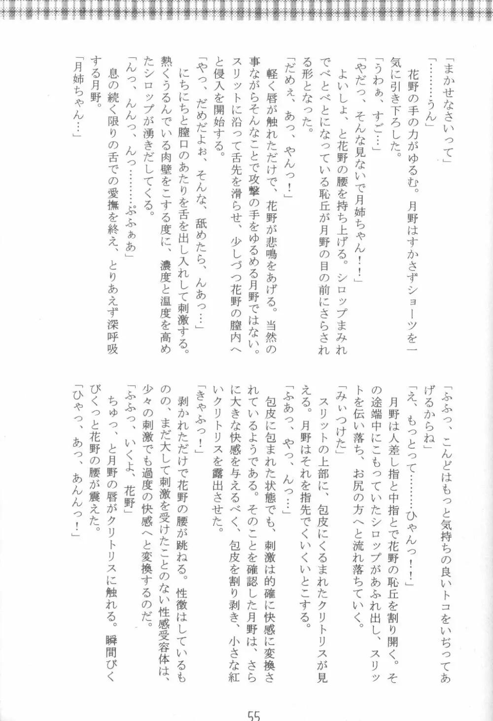 ファンシア育成日記 Page.53