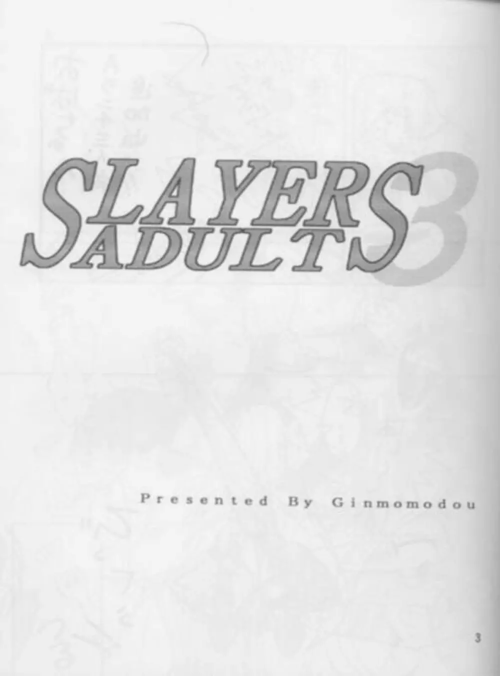 SLAYERS ADULT 3 Page.2