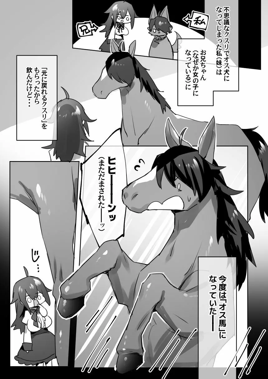 オス馬になった妹と女体化した兄がなんかする漫画 Page.2