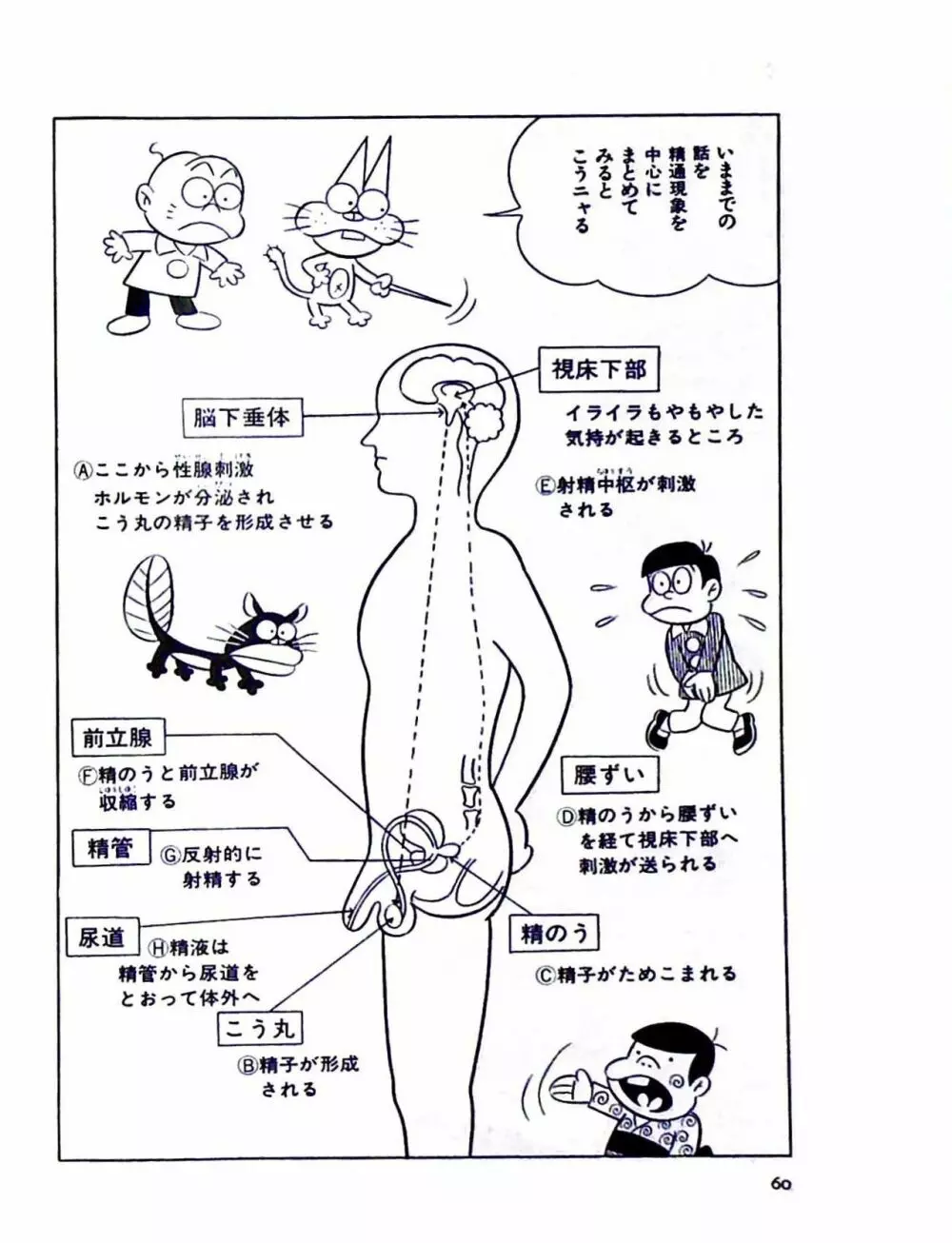 ニャロメのおもしろ性教室 Page.66