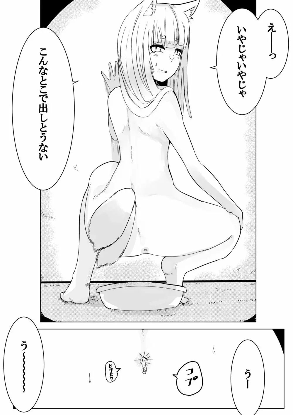 銀狐のえっちなやつまとめ本 Page.49