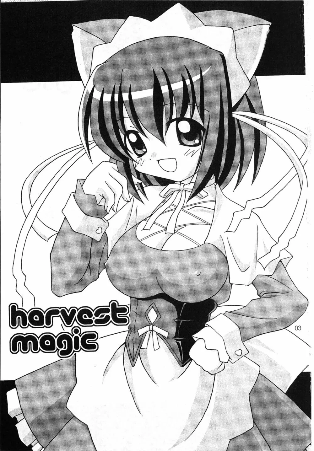 harvest Magic Page.3
