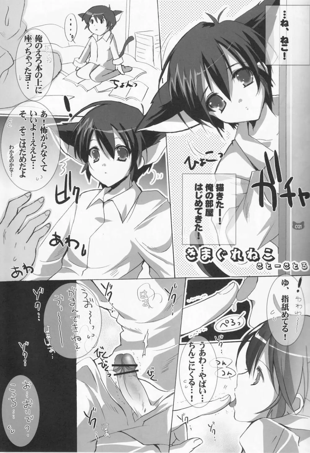 少年色図鑑 4 ～獣ノ耳～ Page.20