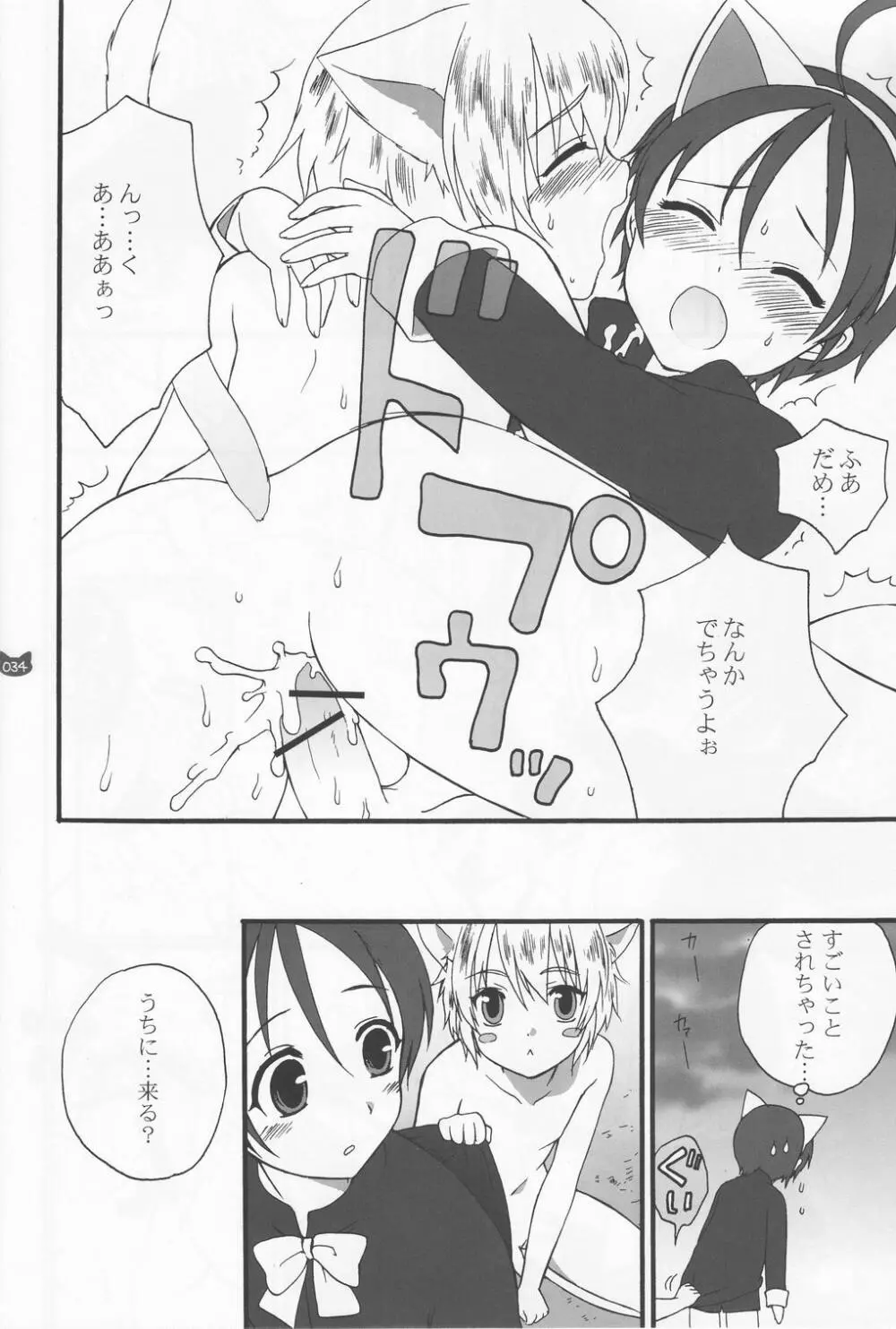 少年色図鑑 4 ～獣ノ耳～ Page.33