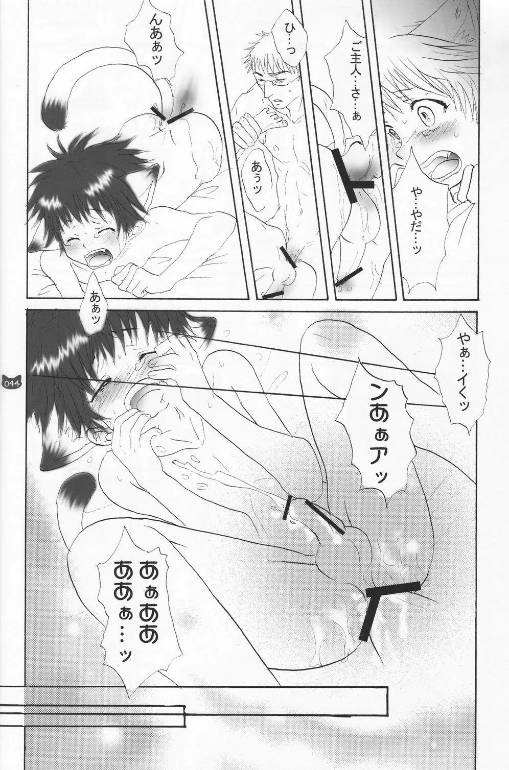 少年色図鑑 4 ～獣ノ耳～ Page.43