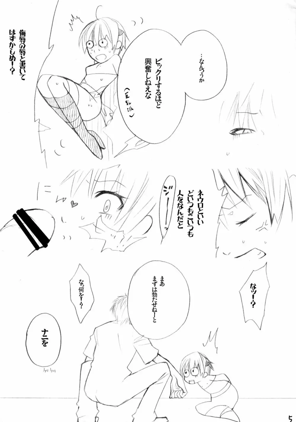 SDR Page.5