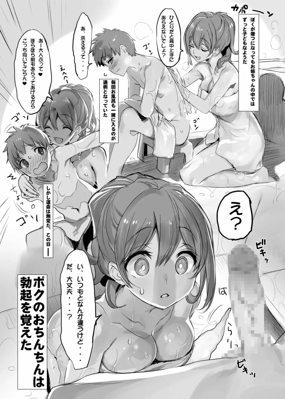 オスになった僕とメスになったおねえちゃん Page.51