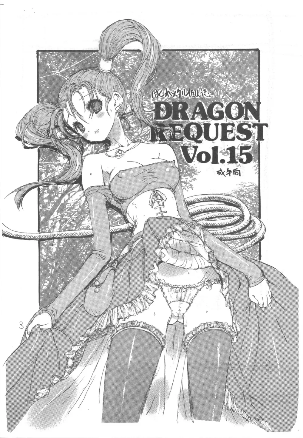 DRAGON REQUEST Vol.15 Page.3