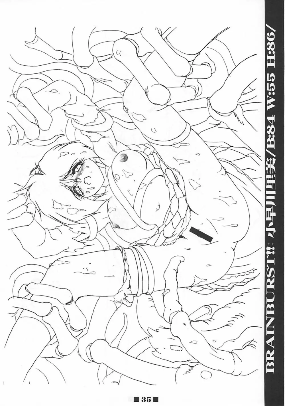 (C58) [HQ's (梶山弘)] RB WORKS (1) GENM & BRAINBURST!! 淫獣幻夢原画集 (淫獣幻夢) Page.34