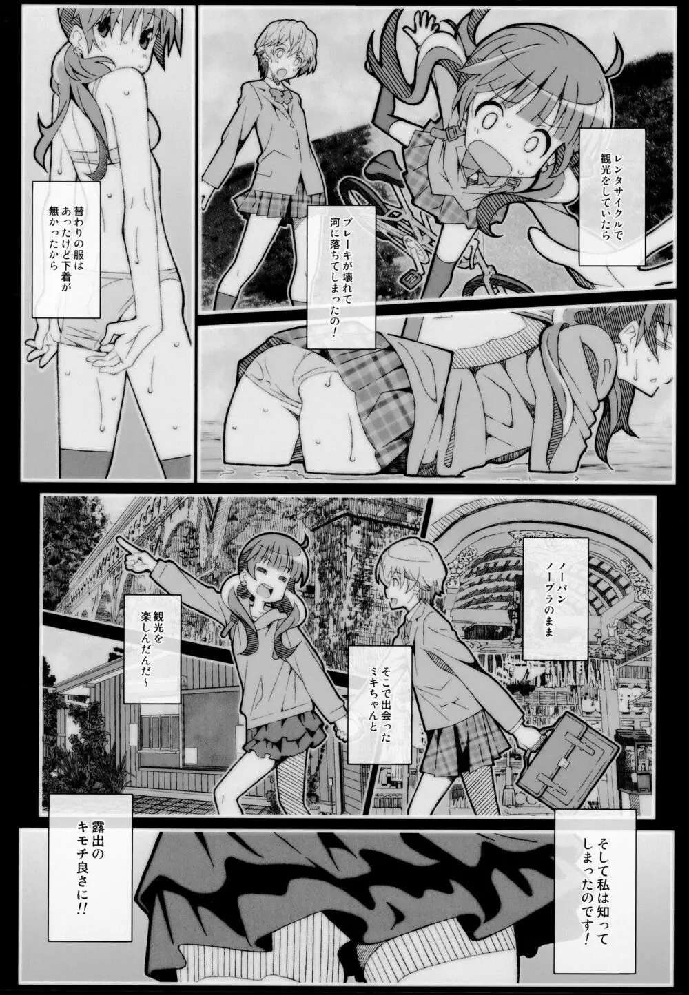 TYPE-56 Page.3