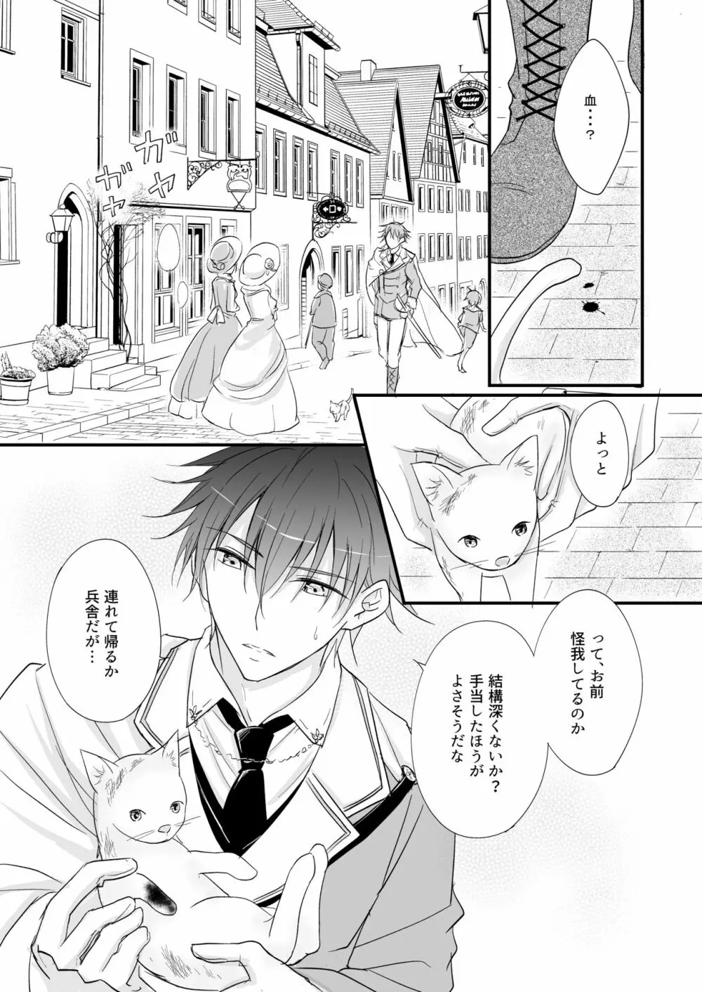 発情～子猫を拾った騎士の話～ Page.3