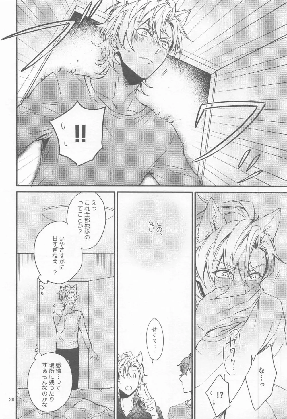Ｈ×Ｄ COLLECTION Page.27