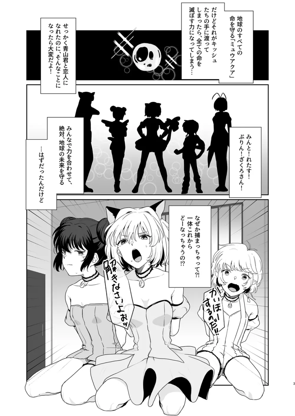 ごほうしよりおしおきが好き Page.3