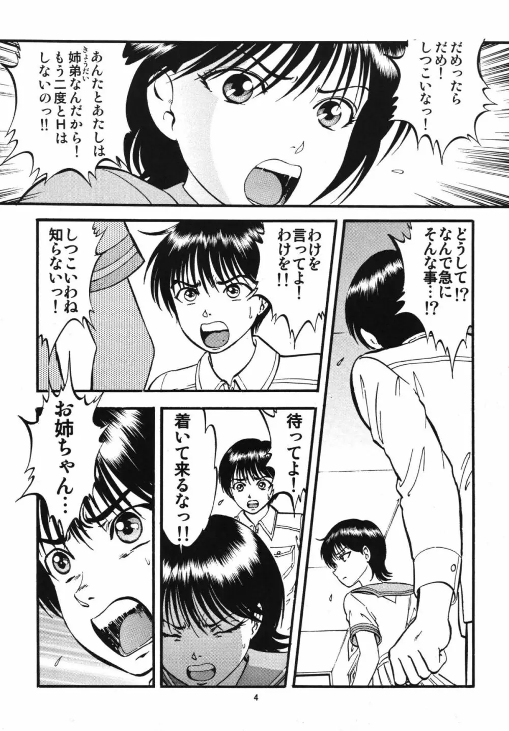 R姉弟 結 ～イルミとヒロキ～ Page.3
