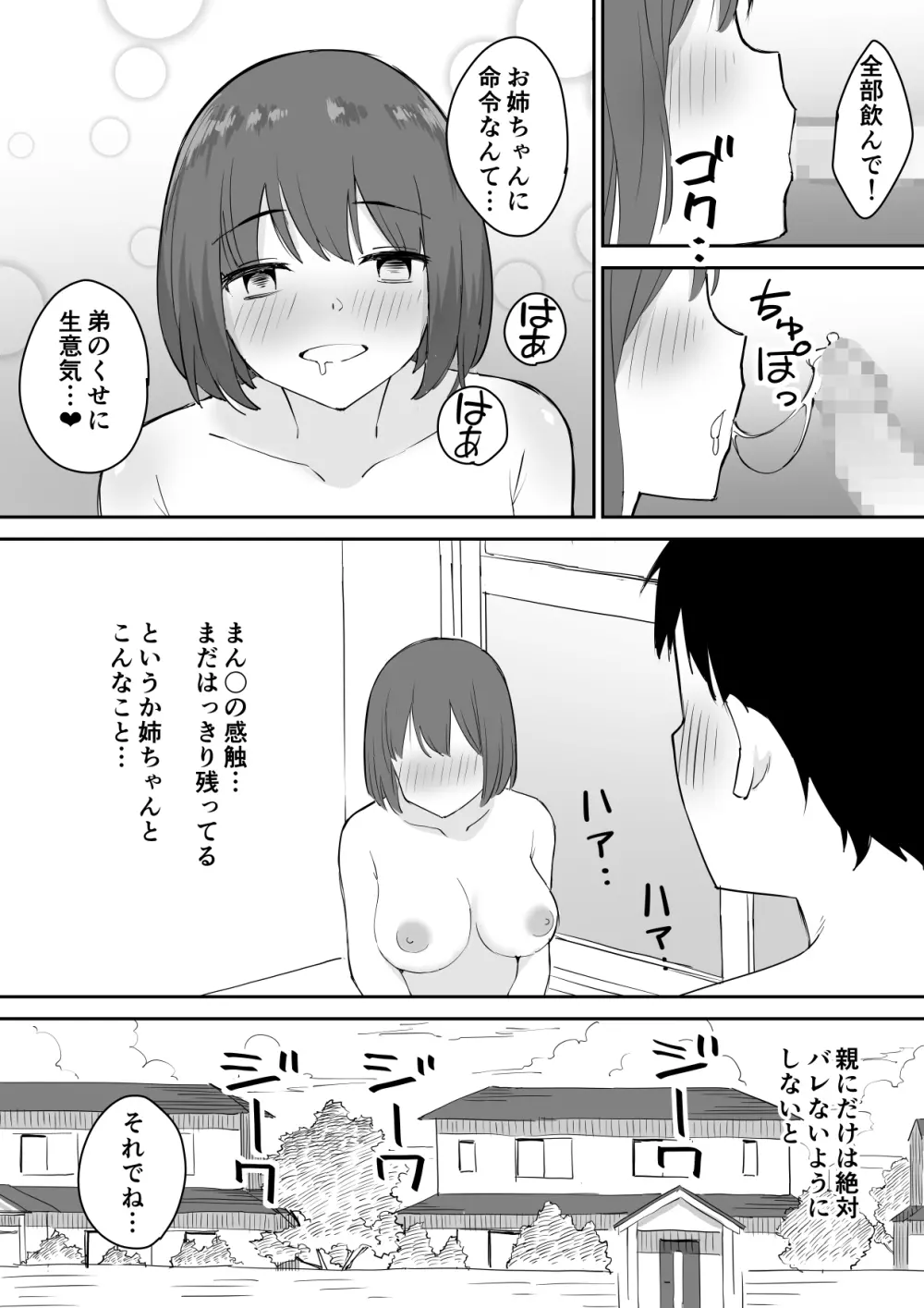 親の再婚で出来た姉があまりに無防備だったので、とりあえず犯してみた。 Page.20