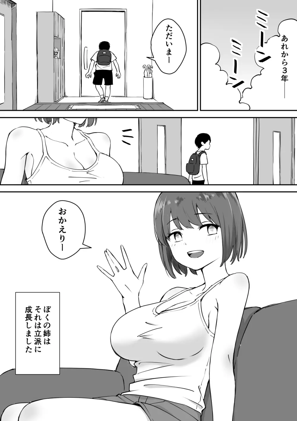 親の再婚で出来た姉があまりに無防備だったので、とりあえず犯してみた。 Page.3