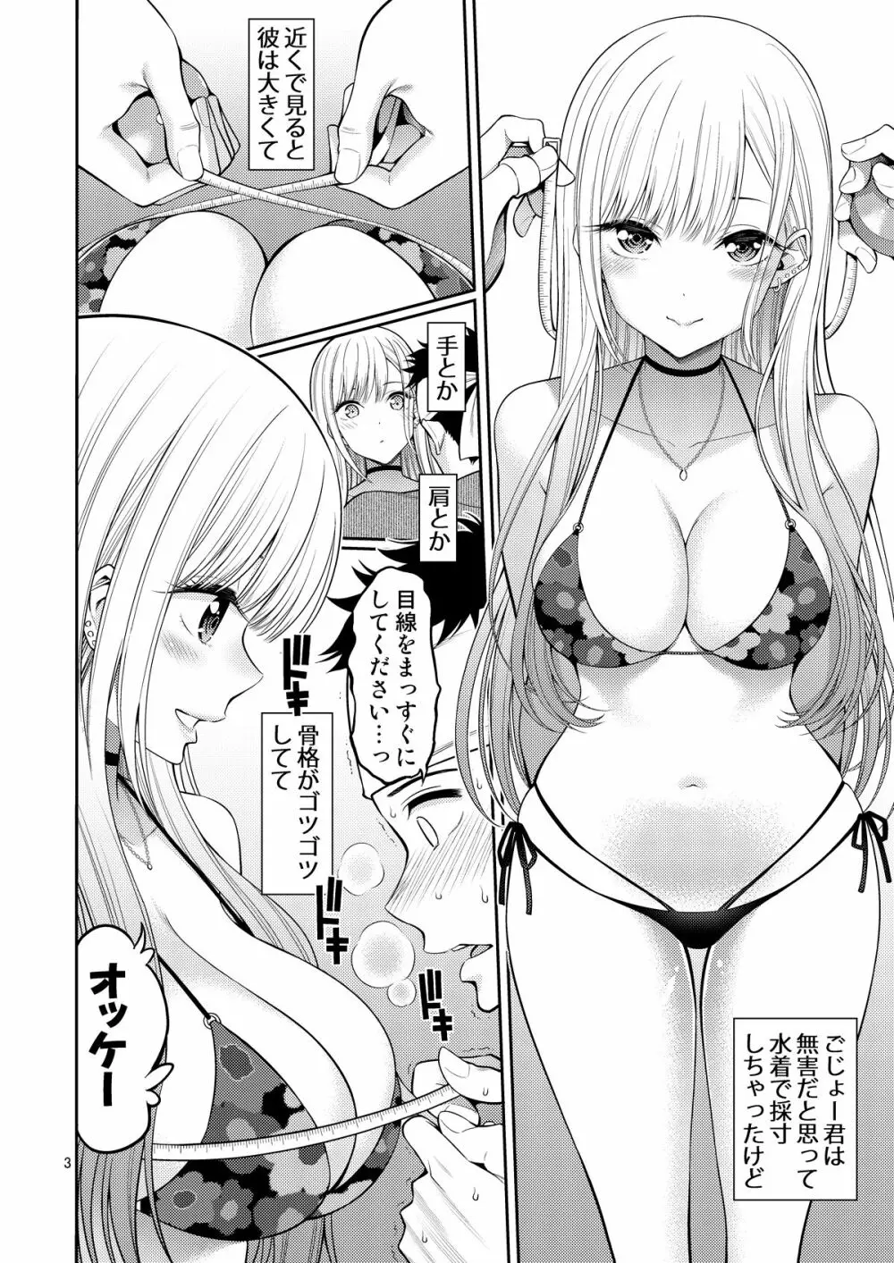 その着せ替え人形はHをする Page.3