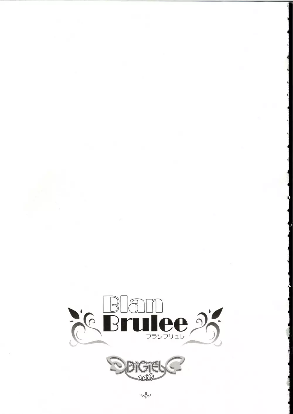 Blan Brulee Page.2