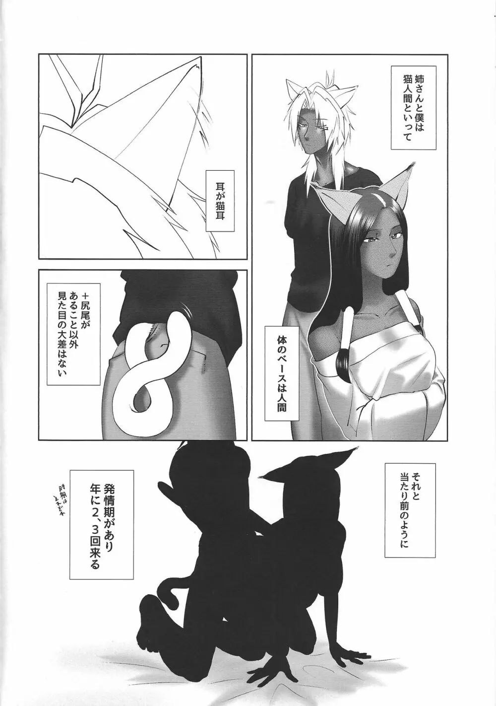 至純なる想念. Page.5