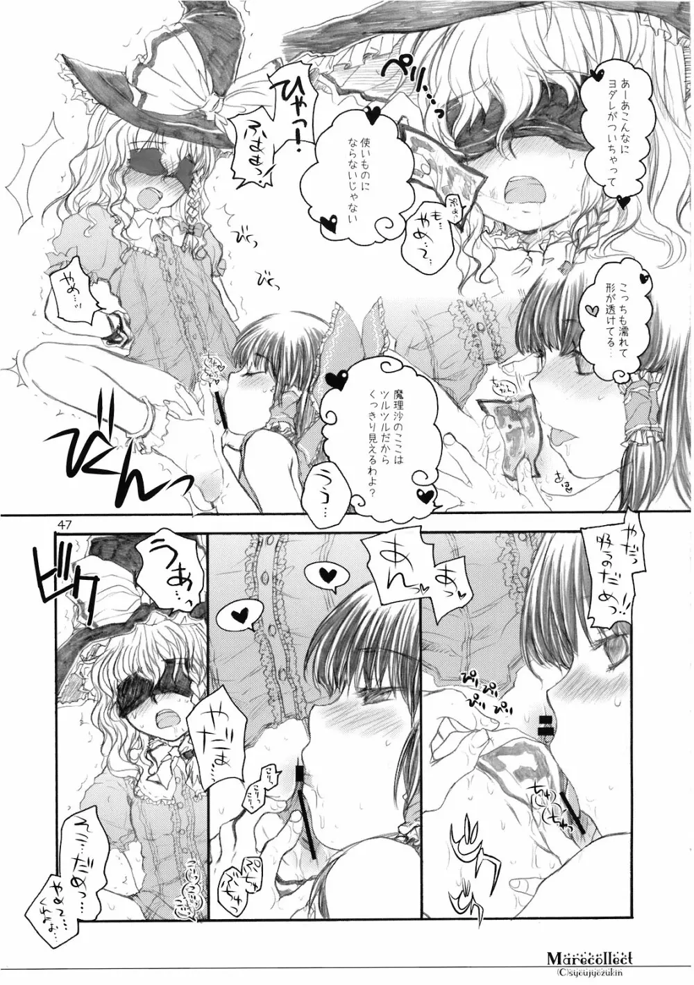 Marecollect Page.47