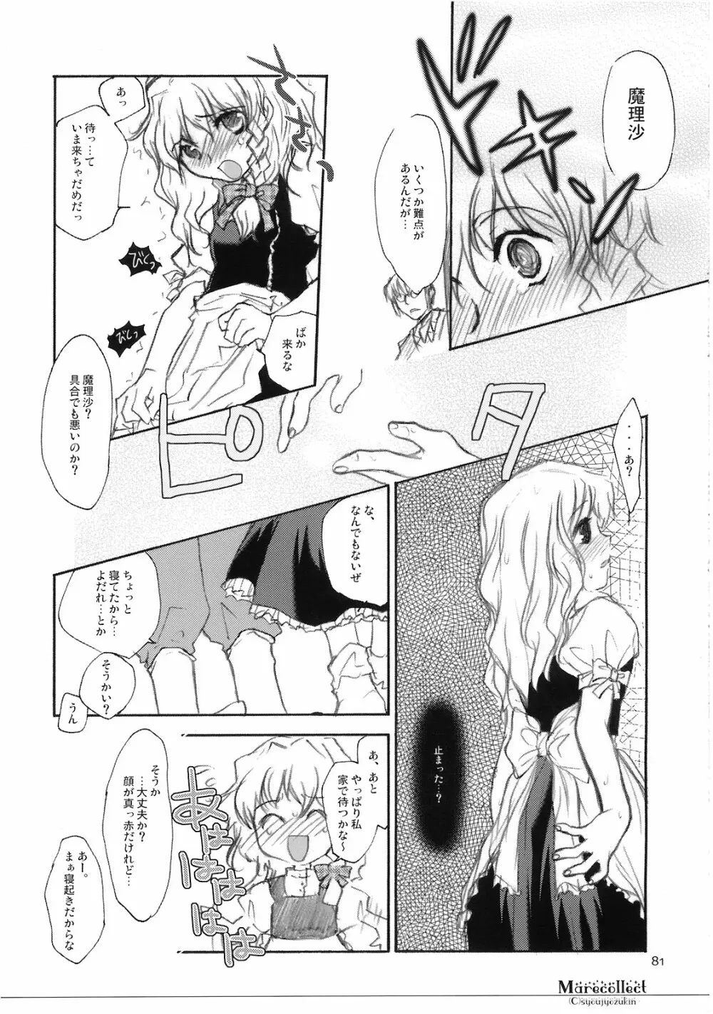 Marecollect Page.81