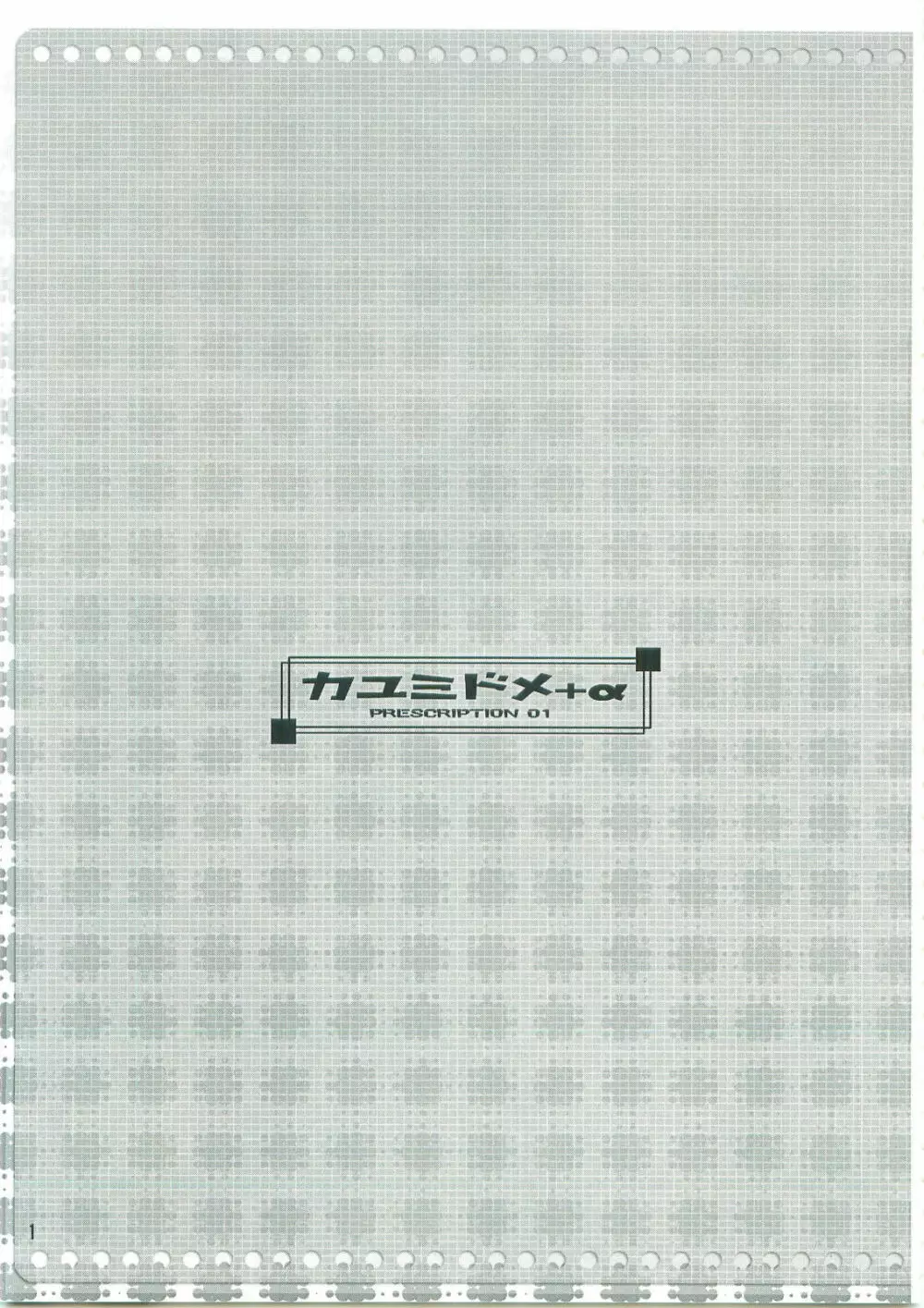 カユミドメ+ α Page.2
