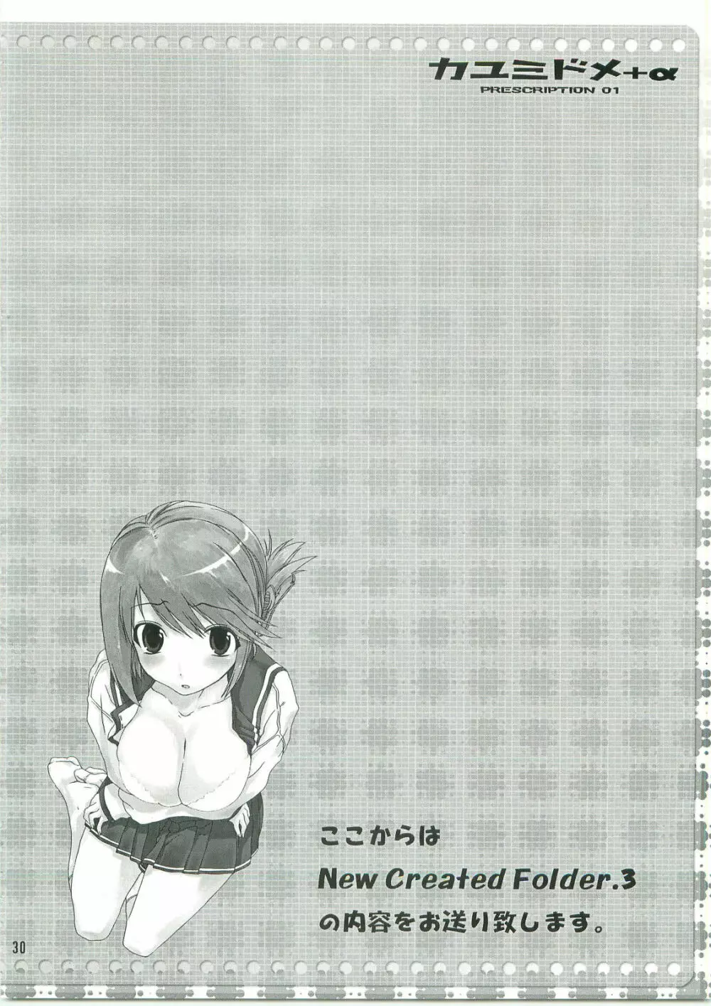 カユミドメ+ α Page.31