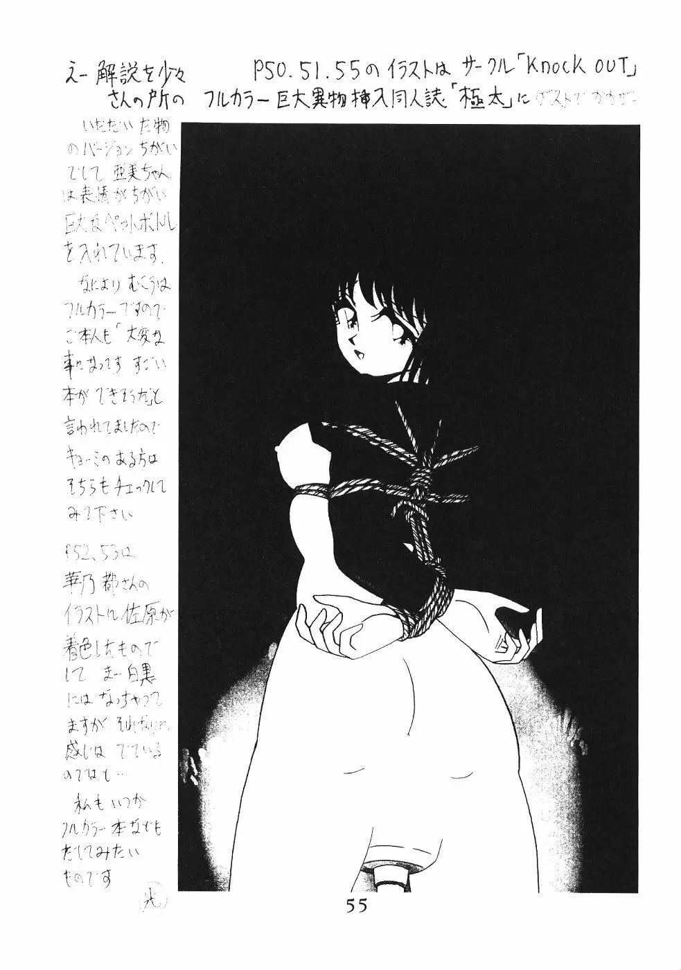 サイレント・サターン SS vol.2 Page.55