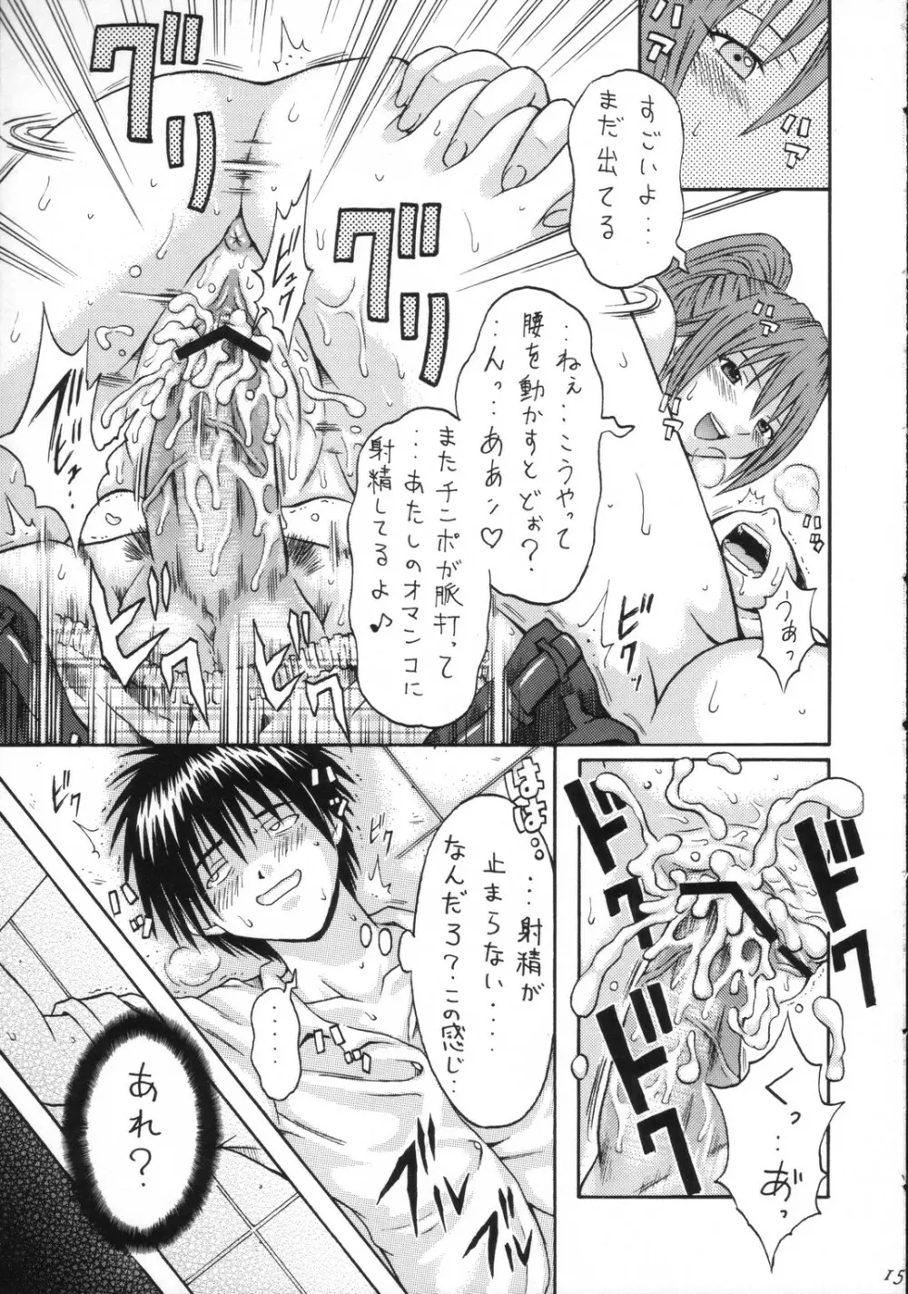 Tonkatsu Evolution Ⅲ Page.14
