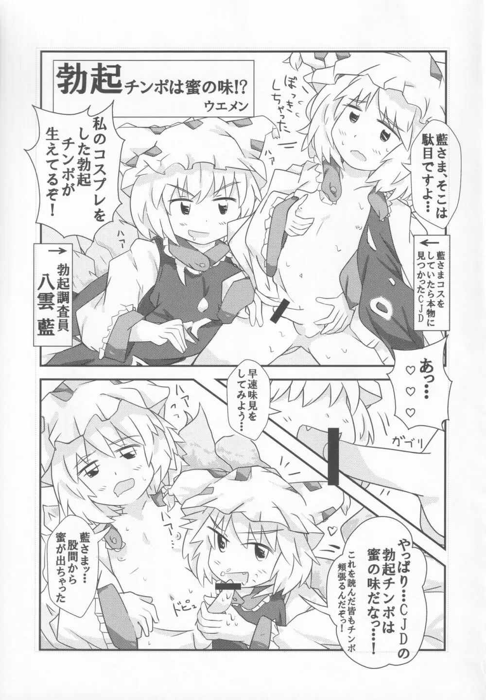 東方本物×CJD合同 幻想少女はCJDがお好き2 Page.30