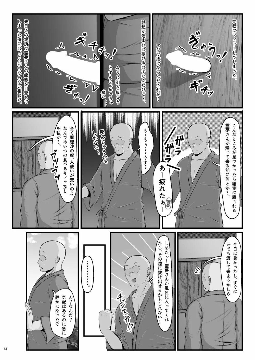 霊夢さんのおもちゃ Page.13