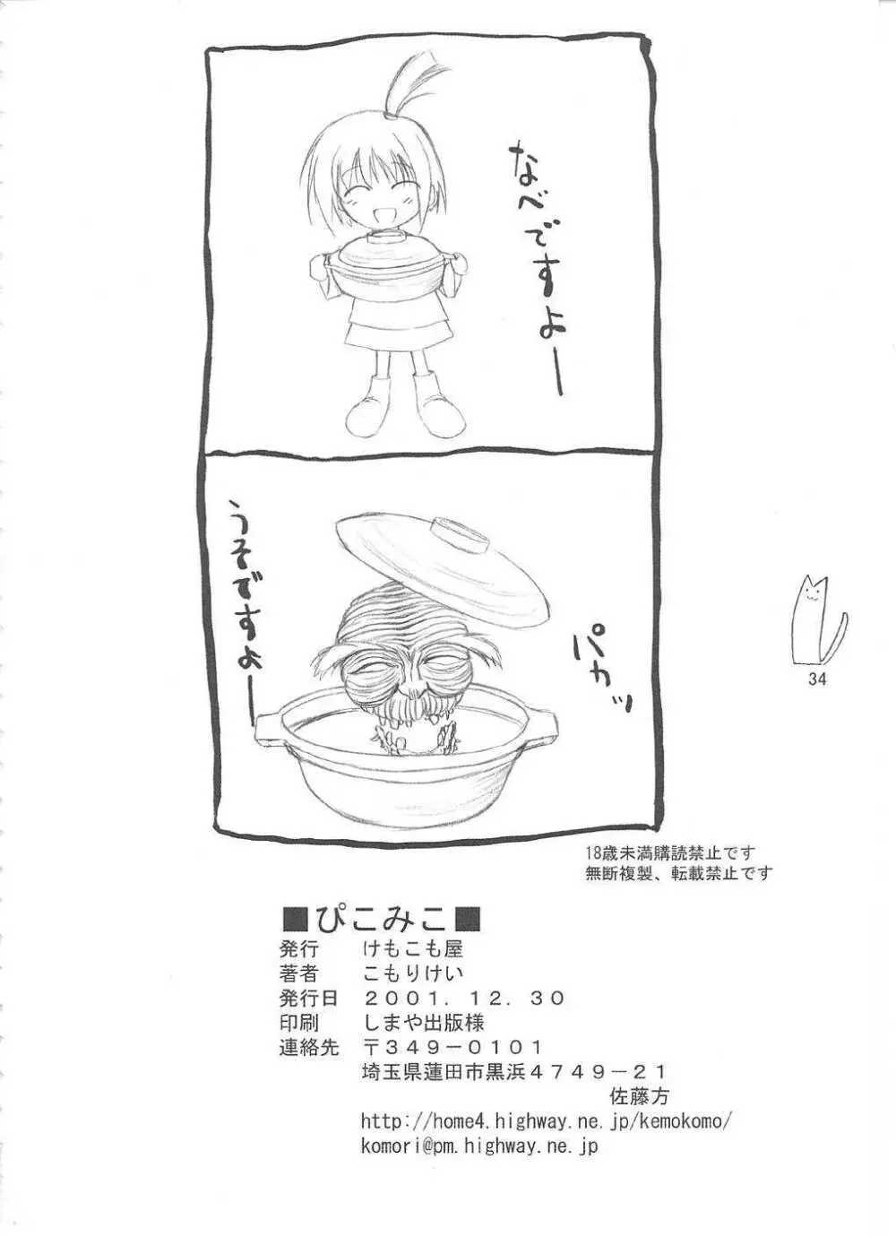 ぴこみこ Page.33
