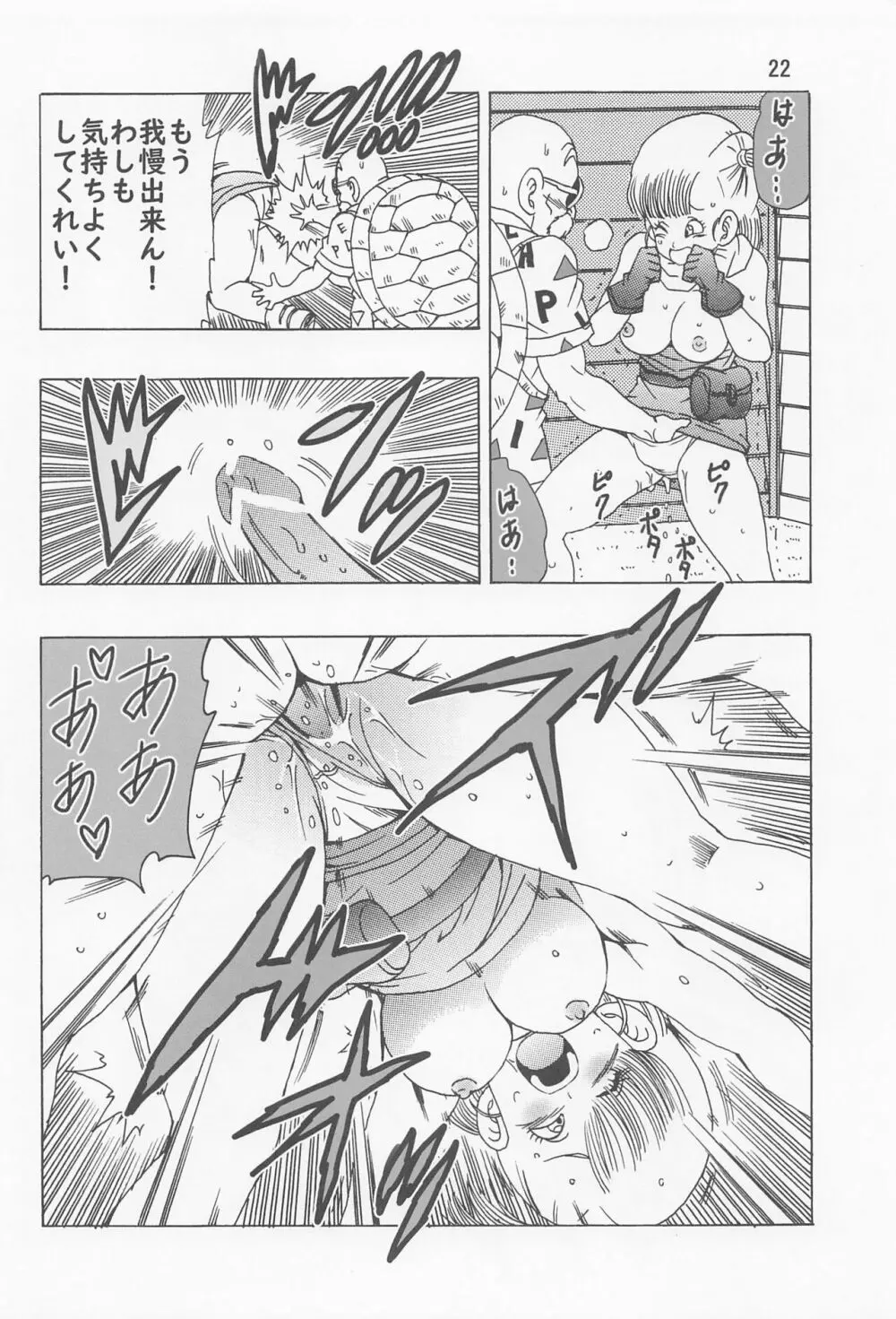 ブルマ本 ~神龍の伝説~ Page.23